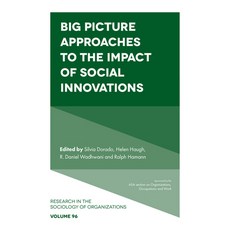 (영문도서)Big Picture Approaches to the Impact of Social Innovations Hardcover, English, 9781836085294