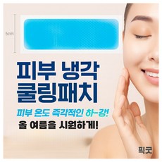 픽굿 붙이는 아이스 쿨패치 쿨링패치 냉각패치 냉각시트 해열패치, 20개