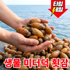 [당일새벽조업] 국산 생물 미더덕회 횟감, 1박스, 1kg