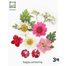 체크스토리 압화 컬러가든시리즈 누름꽃 꽃송이 압화재료 공예, 와인믹스10(3팩), 와인