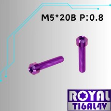 ROYAL TIGALAY 鈦合金 M5*20B P:0.8 錐形螺絲 皇家紫, 1個