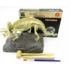 화석깨기 고급형 발굴키트 공룡화석 중 과학실험세트 암모나이트화석 과학수업용, 1세트, 트리케라톱스