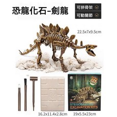 3D 考古恐龍化石 挖掘 DIY 兒童禮物 考古玩具, 1個, 劍龍-超豪華配置版