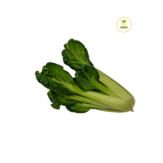 다채 비타민 비타민채 (500g) 샐러드야채 쌈채소가락몰 가락시장직송 가락시장비타민, 500g, 1개