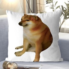 親驗百百款貨 柴犬造型抱枕，沙雕肌肉惡搞趣味，柔軟舒適，沙發靠枕/午睡枕, 看捨