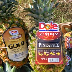 돌 스위티오 파인애플 골드파인애플 프리미엄 수입과일, 1세트, 3수  (1수당 1.2~1.4kg)