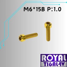 ROYAL 鈦合金螺絲 M6*15B P:1.0 錐形螺絲, 1個