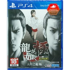PS4 人中之龍 極 中文版