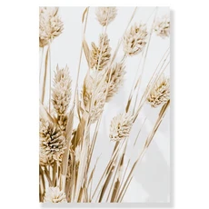 쿠쿠스토어 이슬람 캔버스 포스터 건초 민들레 벽 베이지 꽃 예술 그림 모로코 문짝 인쇄 사진 거실 장식, 06 10X15cm No Frame, 07 949-17, 1개