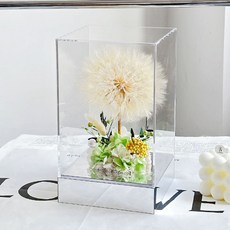 FLOWERS TIME 永生蒲公英透明方盒, 約定_綠色