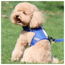 이지 워크 강아지 하네스+리드줄 세트(M) (블루)