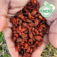 은은한 단맛에 가볍게 쌉싸름함이 스며드는 부드럽고 담백한 구기자, 1개, 80g