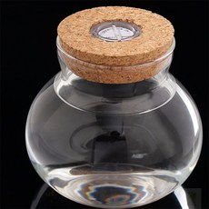 요이찌 마리모 키우기 LED 코르크 유리병 10x11cm 마리모DIY, 1개