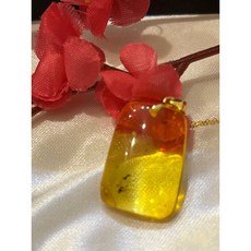 天然琥珀項鍊 蟲珀 附台灣大證, 1個