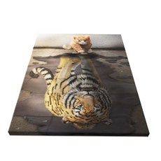 Shen Xiao She 26-cf-1312, 1개