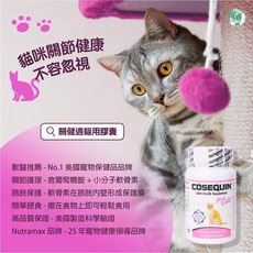 萃麥思貓咪膀胱關節保健品，每均代理商原廠公司貨，Cosequin for cat 80顆，2028年有效期，關節保健，泌尿道保健, 1個