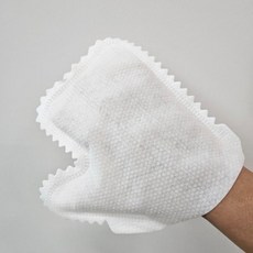 이즈벨 부직포 먼지 청소 장갑 10P 손걸레 장갑걸레, 상세페이지 참조, 1개