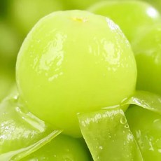 [하루50박스특가] 수출전용 거창 고당도 샤인머스캣, 1박스, 2kg(2~4수)