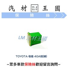 LM汽材王國 保險絲 TOYOTA 豐田 母插 40A 短 綠色