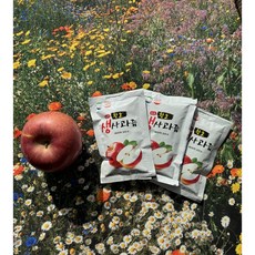 막둥이네 속리산 얼음골 사과즙 감홍 부사 착즙 명품 생 사과즙, 50팩, 120ml