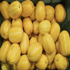 성주 못난이 가정용 꿀참외 참외, 1개, 못난이 고당도 3kg