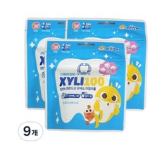핑크퐁 아기상어 자일리100 핀란드100% 자일리톨 캔디, 9개, 40g