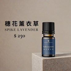 SCENTFANATIVY 穗花薰衣草精油, 1個, 10ml, 穂花薰衣草