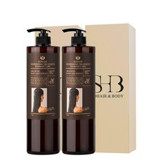 쏘헤어 너리싱 아르간 트리트먼트 데미지케어 500g, 2개