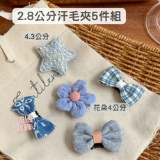 可愛汗毛夾套裝 汗毛夾蝴蝶結髮飾 寶寶髮夾 嬰兒髮夾 A0101 (5件組)
