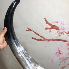 專業黑氂牛角喇叭牛角號，法師銅嘴道教法器，道士常用儀樂器，牛角吹號角道傢用品, 非洲號55到60一個