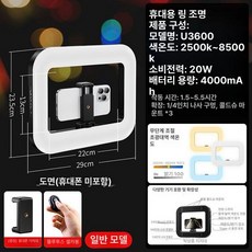 모바일 촬영용 조명 스마트폰 휴대용 거치대 링라이트, 1개, 표준 단일 라이트 4000mAh 셀피