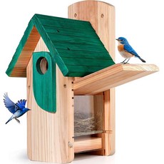 Birdhouse