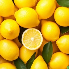 레몬 항산화 생레몬 5입 10입 30입 외 칠레 미국 호주산 랜덤 발송, 1개, 중과 20입