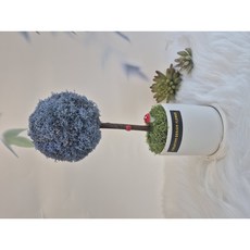 공기정화식물 스칸디아모스 원형 화분 토피어리 개업 집들이 각종 선물 추천 받는 분이 만족도 좋음, 사용함, 라벤더블루