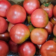 완숙 찰토마토 3kg, 1개