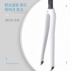 포크 풀카본 픽시자전거 출퇴근 싱귤러리티 트랙, 1개, 라벨 없는 흰색 무광 370g 26c