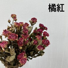 花藝夢*荷蘭進口 乾燥迷你多頭玫瑰花 *原裝販售* 迷你玫瑰 乾燥花 不凋花 乾燥花材, 橘紅