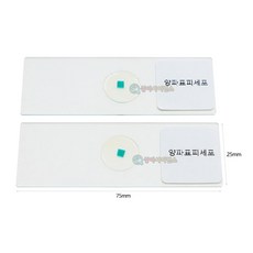과학실 현미경 관찰 표본 양파표피 2매 유리 영구 프레파라트 교육실 과학키트 과학교실