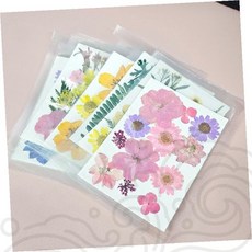 압화 드라이플라워 누름꽃 생화잎 컬러믹스 핸드메이드 공예재료 꽃잎 장식용, B