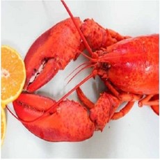 동아씨푸드 캐나다 자숙 랍스터 1마리 450g 내외, 350g내외, 1개