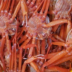 후포리 B급 자숙홍게x2 (Araium), AI_01 후포리 B급 자숙홍게*2