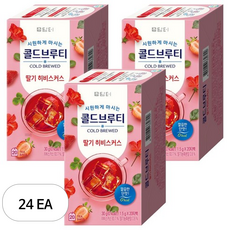 담터 콜드브루티 딸기히비스커스, 1.5g, 20개입, 24개