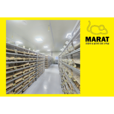 마렛트 아이스포장 결제창