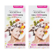 리체나 샴푸형 염색제 2개, 자연스러운 흑갈색