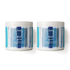 자하라밤 블루도프 에어 오브제 고체 탈취제, 2개, 300g