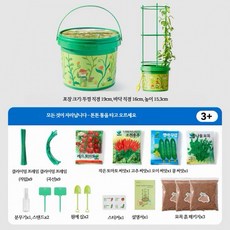 식물키우기 관찰키트 과학실험 화분놀이세트 재배 키트 버킷 세트 미니 텃밭 가꾸기 홈가드닝, 버킷 1개 씨앗 포함