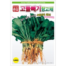 채소씨앗 - 고들빼기(5000립) 향고채, 1개