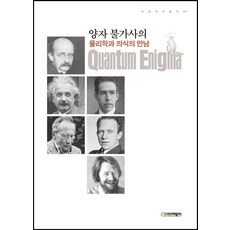 量子之謎：物理學與意識的相遇, 止揚社, 布魯斯·羅森布魯姆, 佛瑞德·庫特納 共著/全大虎 譯