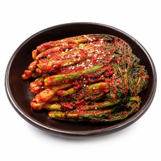 돌산댁 주문제작 국산 전라도 여수 돌산 갓김치, 1kg, 1개