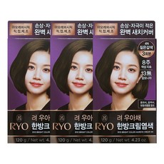 아모레퍼시픽 려 우아채 멋내기 새치크림 염색약 / 뿌리염색 새치커버 새치염색, 4N 짙은갈색 3개, 3개